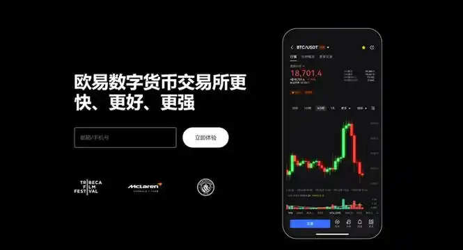 okpay交易所页面展示